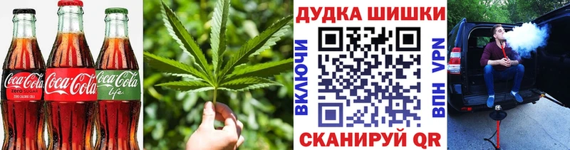 мега зеркало  Кириши  darknet наркотические препараты  цена   Canna-Cookies марихуана 