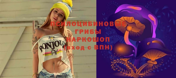 хмурый Богородск