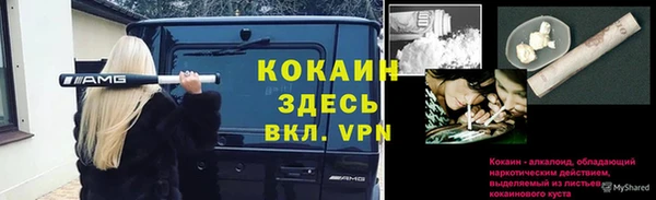 хмурый Богородск