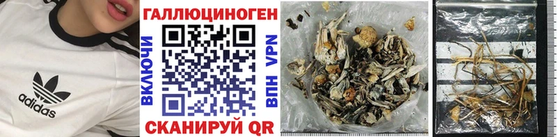купить   Кириши  Галлюциногенные грибы MAGIC MUSHROOMS 